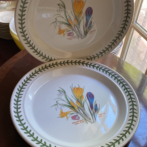 2 Portmeirion dinner plates 10.5” in 1.5” deep pasta GALANTHUS CROCUS England - Picture 9 of 12